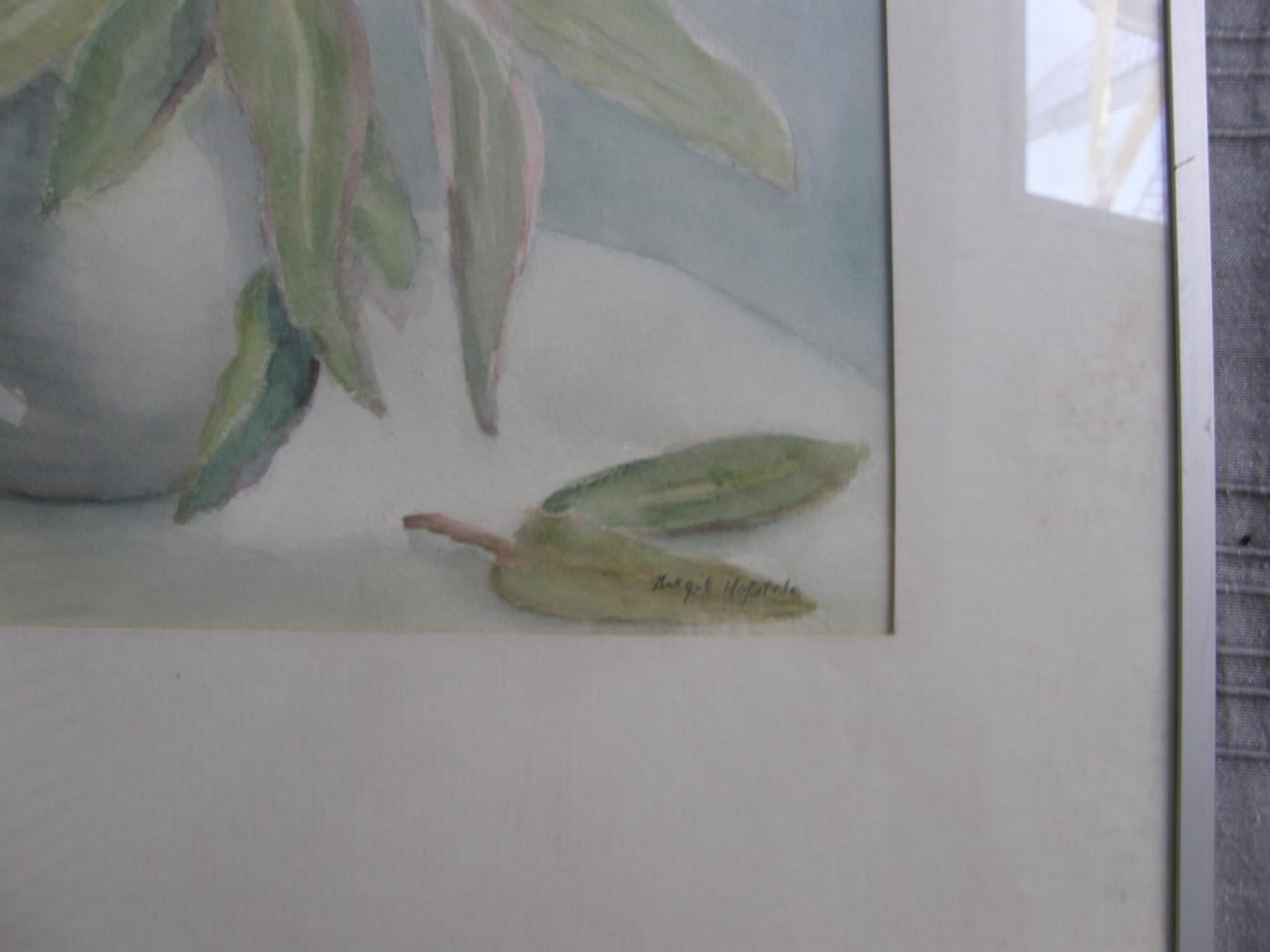 Aquarel pioenrozen