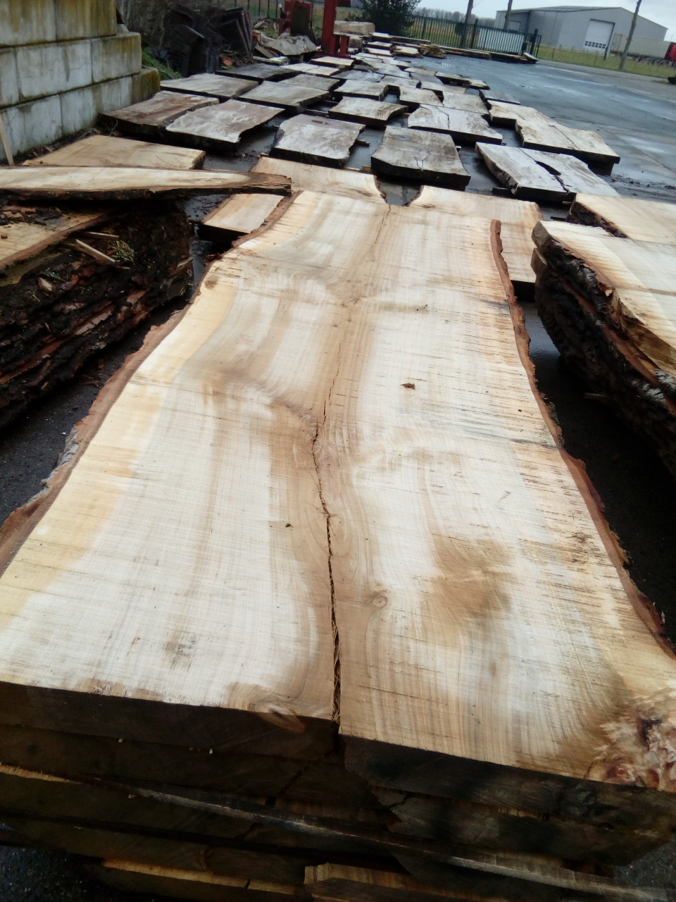 Boomstam tafels planken wandplanken decoratie bartafel salontafel