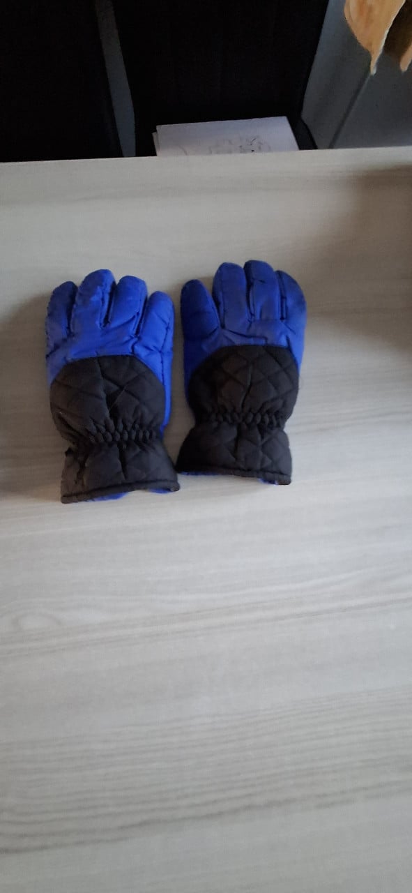 Handschoenen