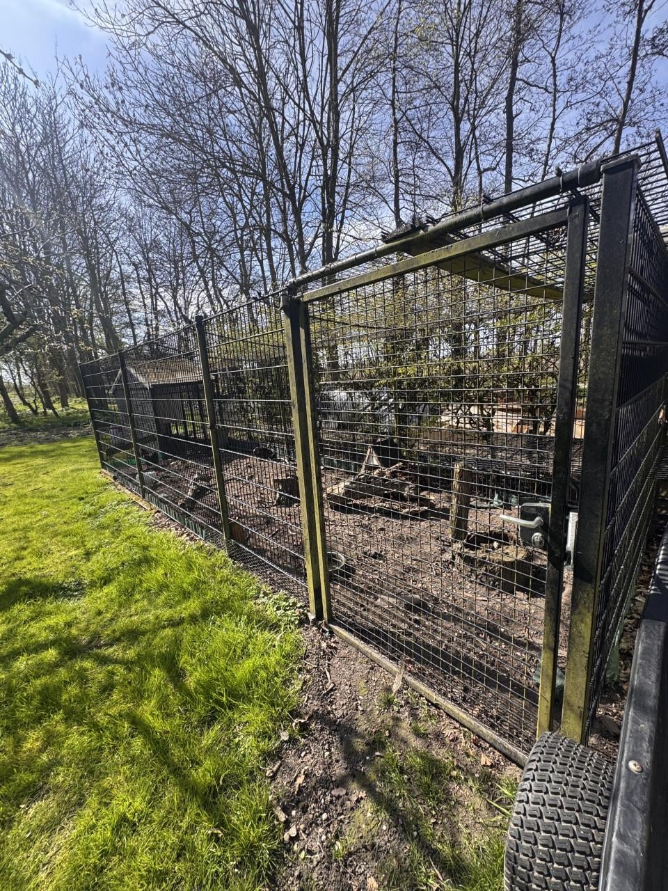 2 legkippen incl. hok