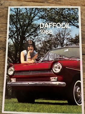Daffodil 1966