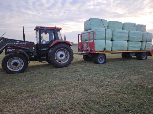 Te koop gevraagd wikkelbalen/kuilbalen