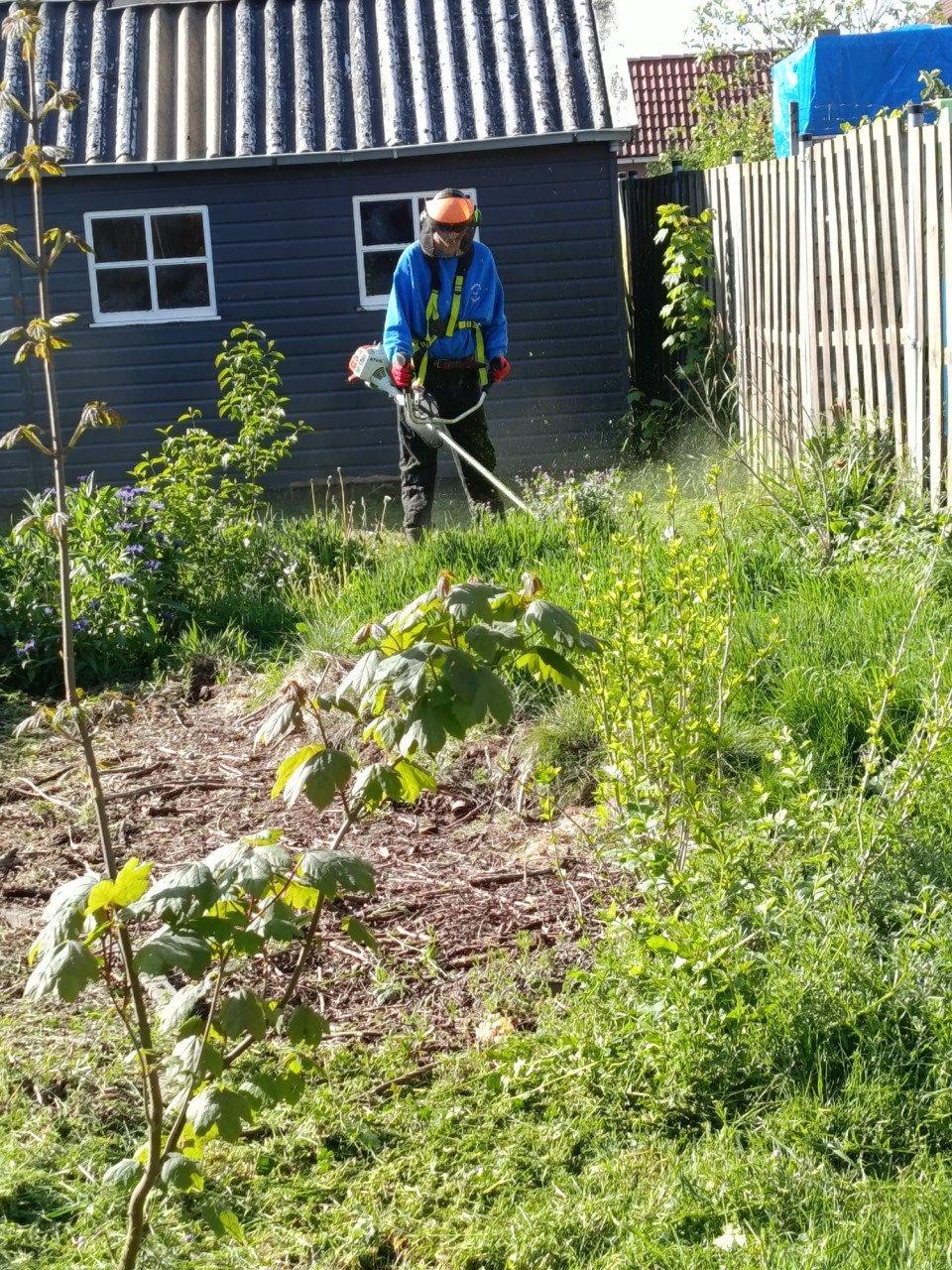 Tuinonderhoud