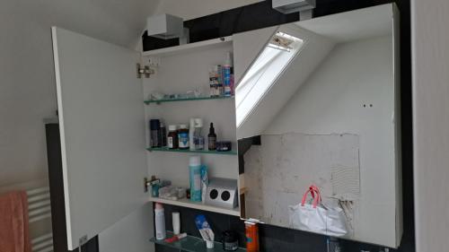 Badmeubel spiegelkast douchedeur