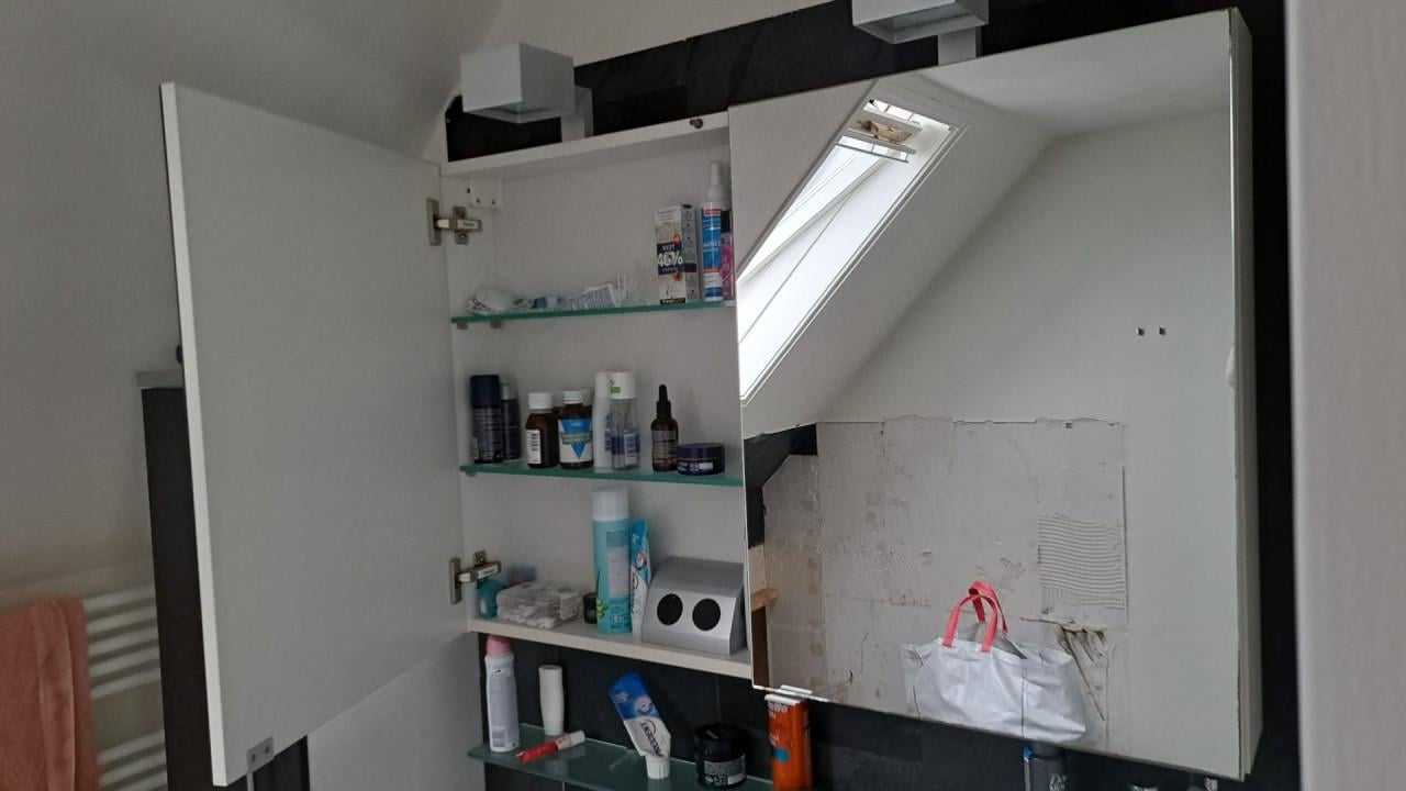 Badmeubel spiegelkast douchedeur