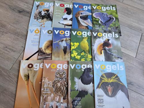 Vogels