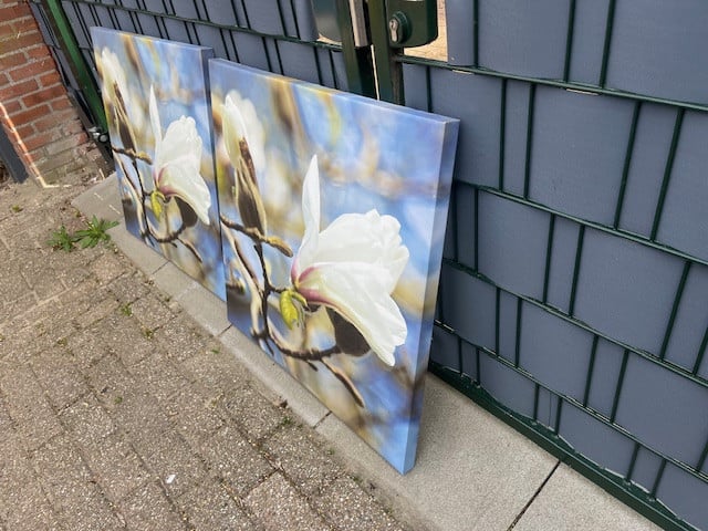 2 Fotolijsten op canvas