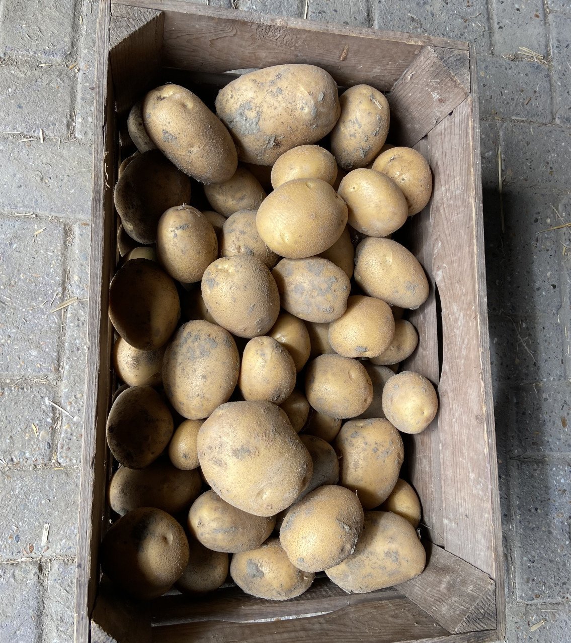 🥔 Aardappels rapen in Kwadendamme – Zaterdag 30 augustus! 🥔