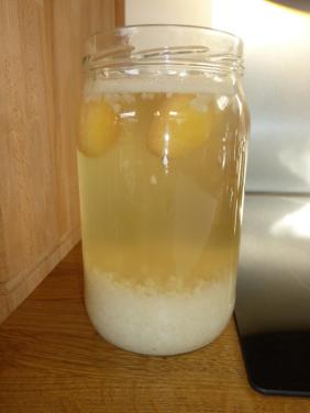 GRATIS: waterkefir of melkkefir, voor een gezonde probiotica drank!