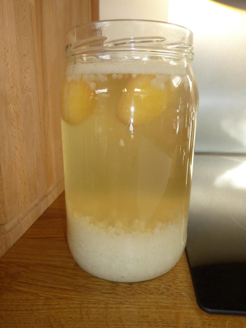 GRATIS: waterkefir of melkkefir, voor een gezonde probiotica drank!