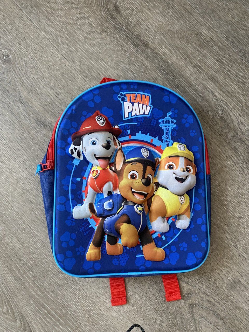 Rugtas van Paw Patrol.