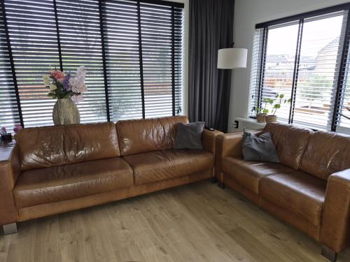 Nette lederen bankstellen