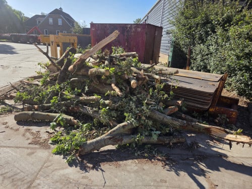 Kachel hout