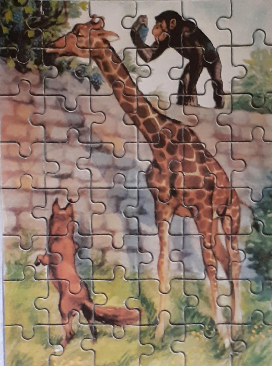 Oude puzzel van Artis