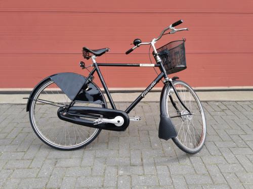 GAZELLE STOERE BACK TO BASIC HERENFIETS