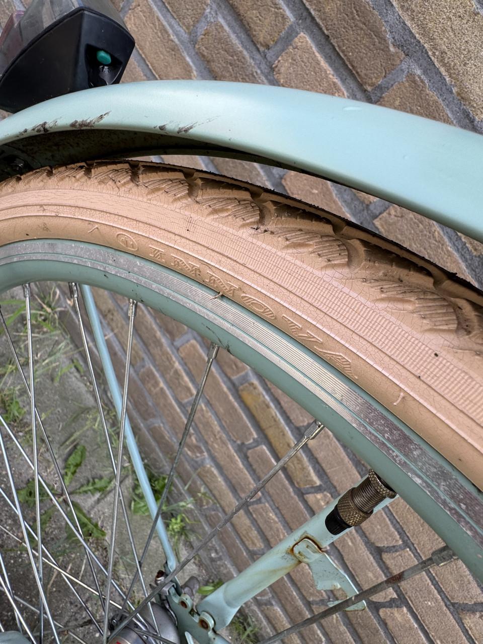 Transpotrr dames fiets