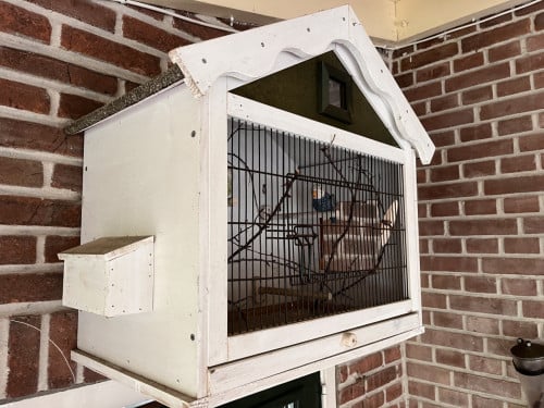 Vogelkooi