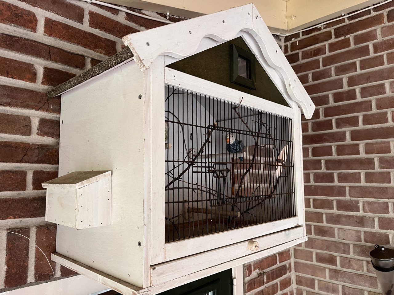 Vogelkooi