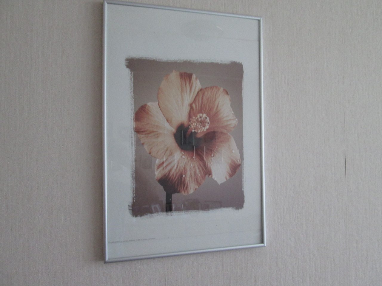 Set lijsten met bloemen