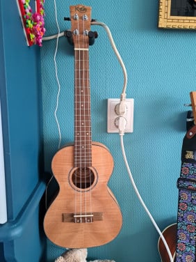 Prachtige zgan korala tenor ukelele