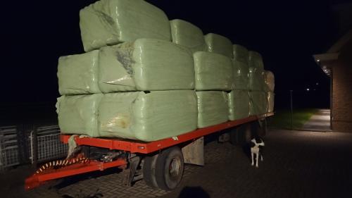 Wikkelbalen/voordrooghooi