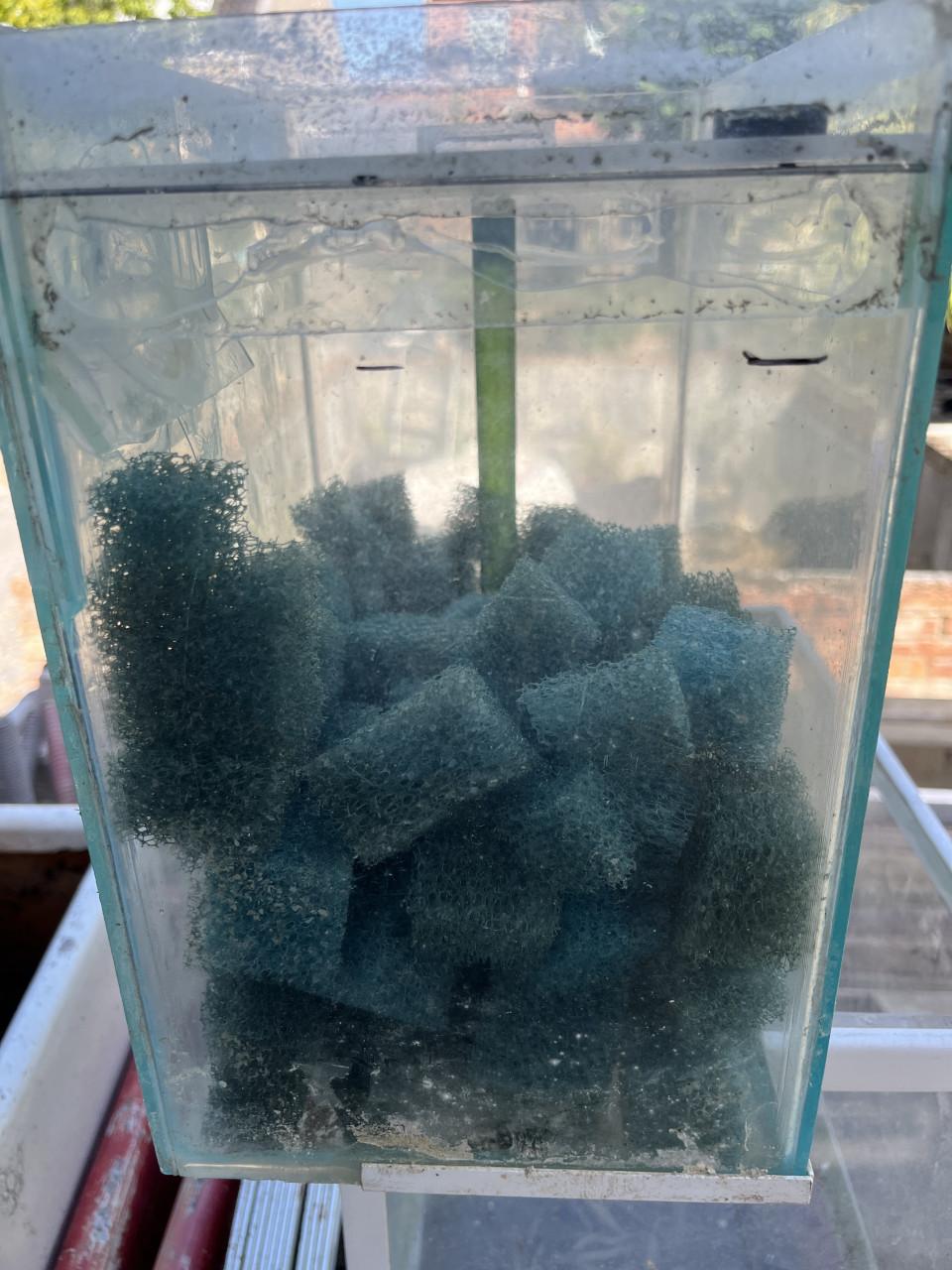 Aquarium druppel filter glas