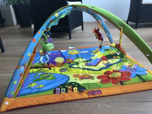 Baby gym Tiny Love