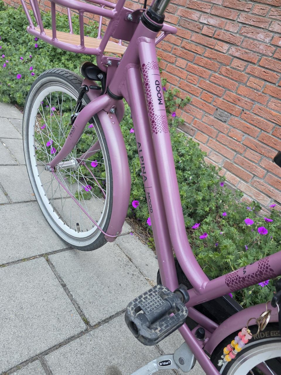 ALPINA | MOOD | 24 INCH | 38 CM | NEXUS 3 | NETTE STAAT!