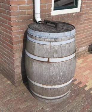 Regenton / Wijnvat