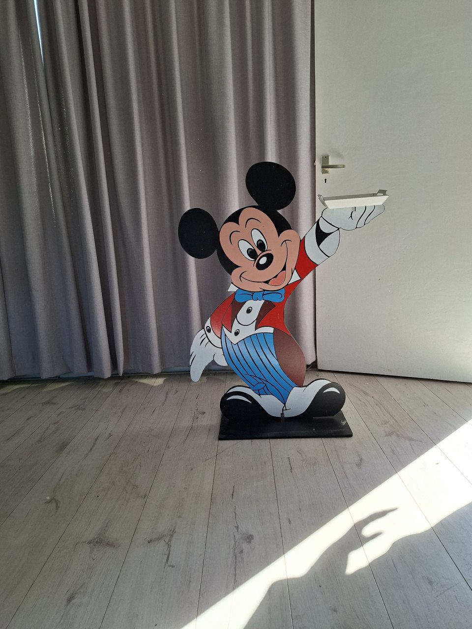 Mickey en Minnie mouse