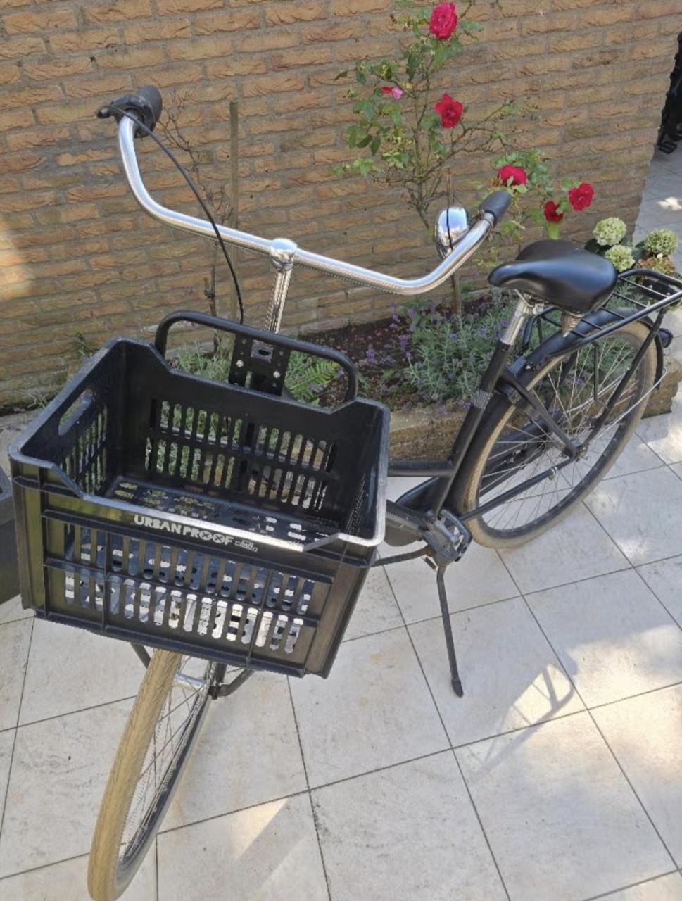 Batavus transport
