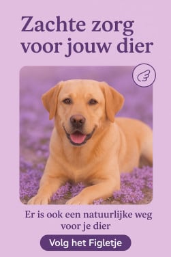 Homeopathie voor Dieren
