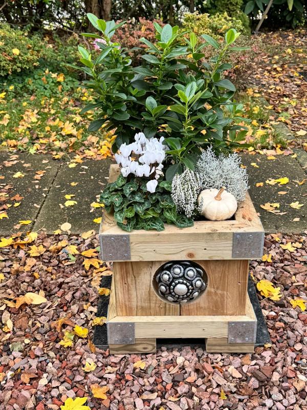 Zeeuwse knop bloembak L32x B35 X H30 -10jarige Jubileumactie