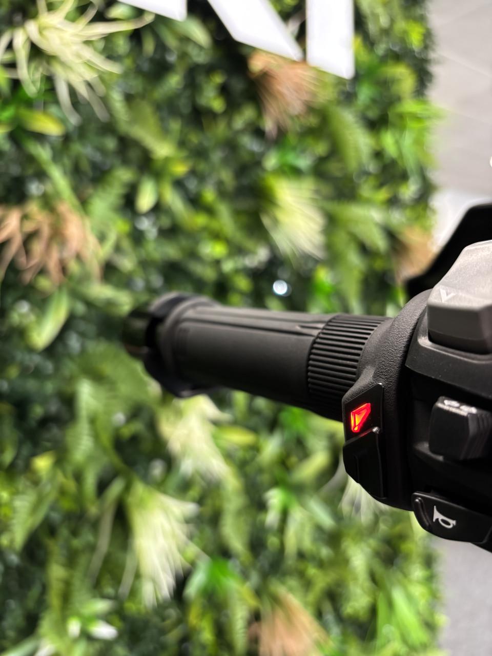 Suzuki V-STROM 800 - BJ 2024 - 3.874 km