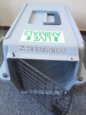 Kennel