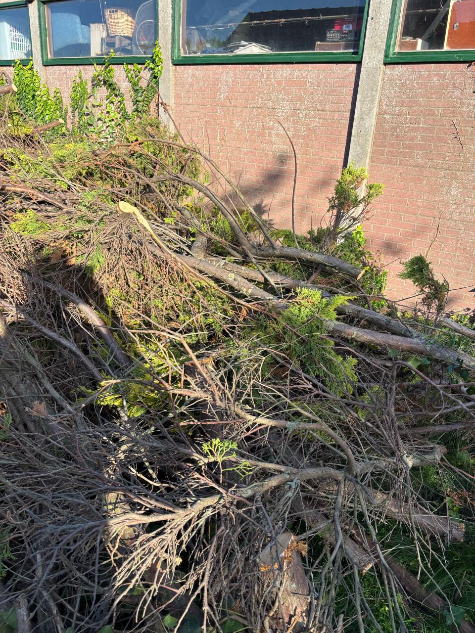 Gratis haardhout