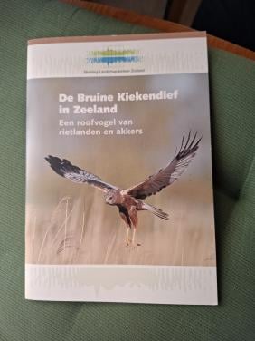 De Bruine Kiekendief in Zeeland, een roofvogel van rietlanden en akkers