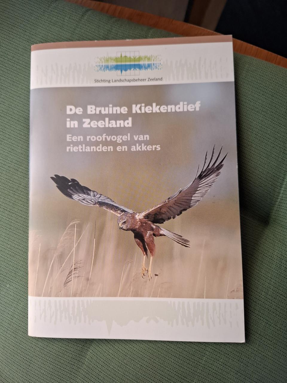 De Bruine Kiekendief in Zeeland, een roofvogel van rietlanden en akkers