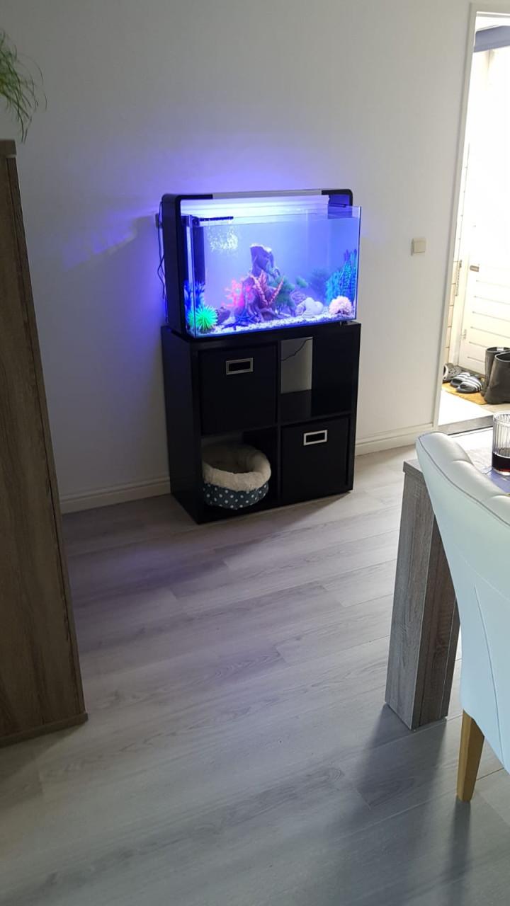 Superfish Home 110 Aquarium Black Inclusief Alle Toebehoren Te Koop