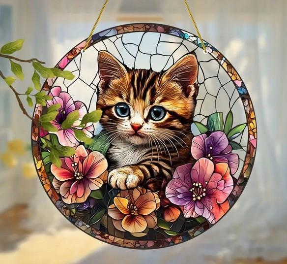 Raamhanger kat - poes