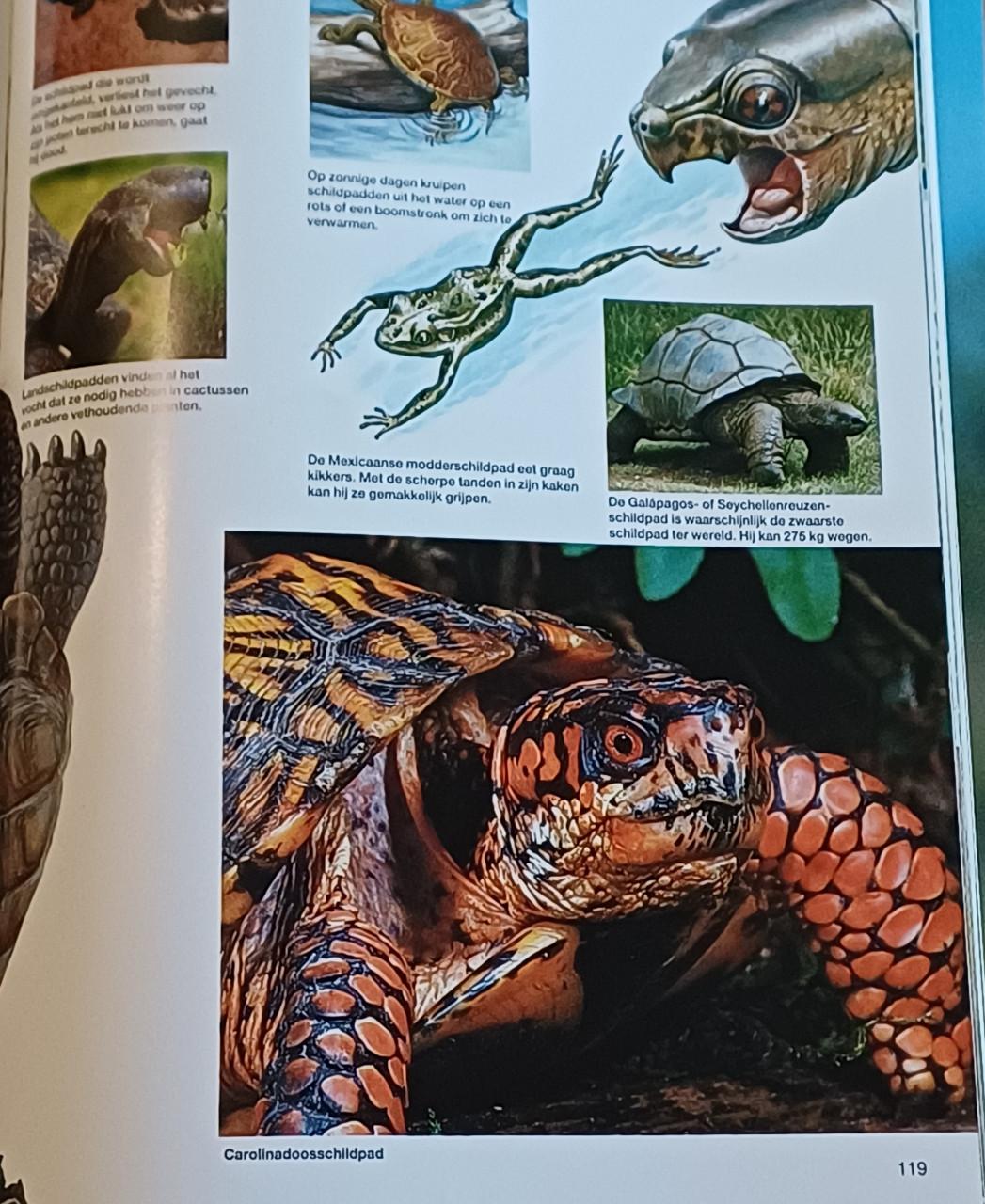 Natuur Encyclopedie