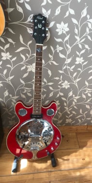 ALDEN resonator gitaar