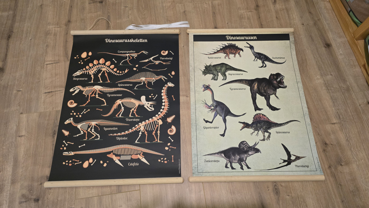 Dinosaurus spulletjes kamer