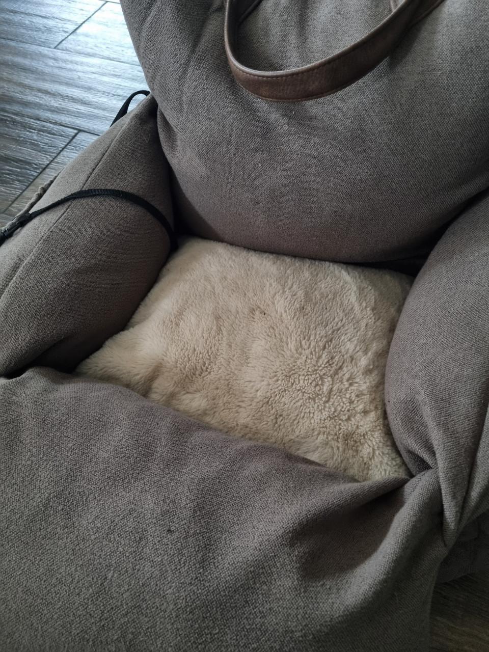 Automand hond Pets Place