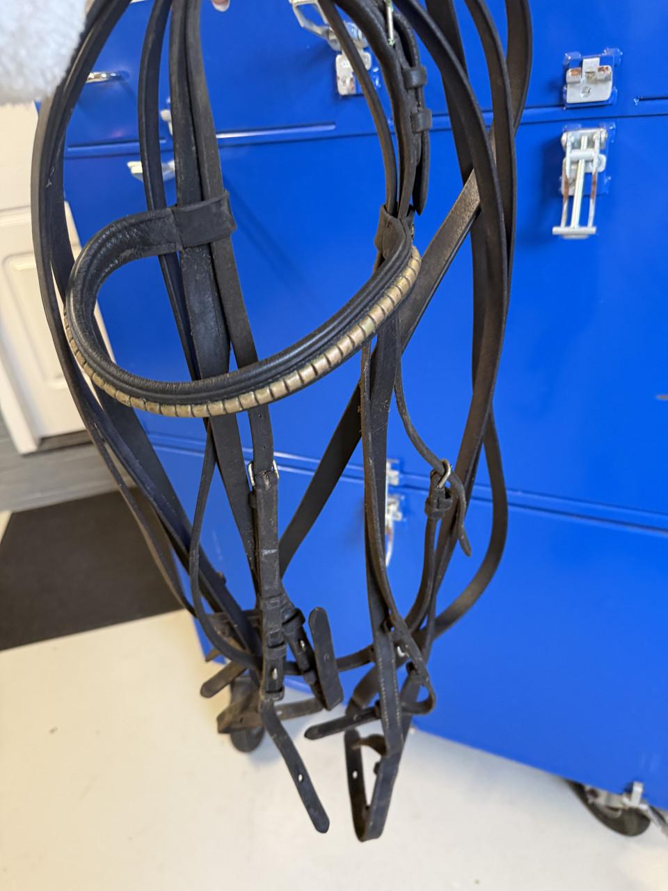 Dressuur zadel KN + hoofdstel Passier (stang en trens)