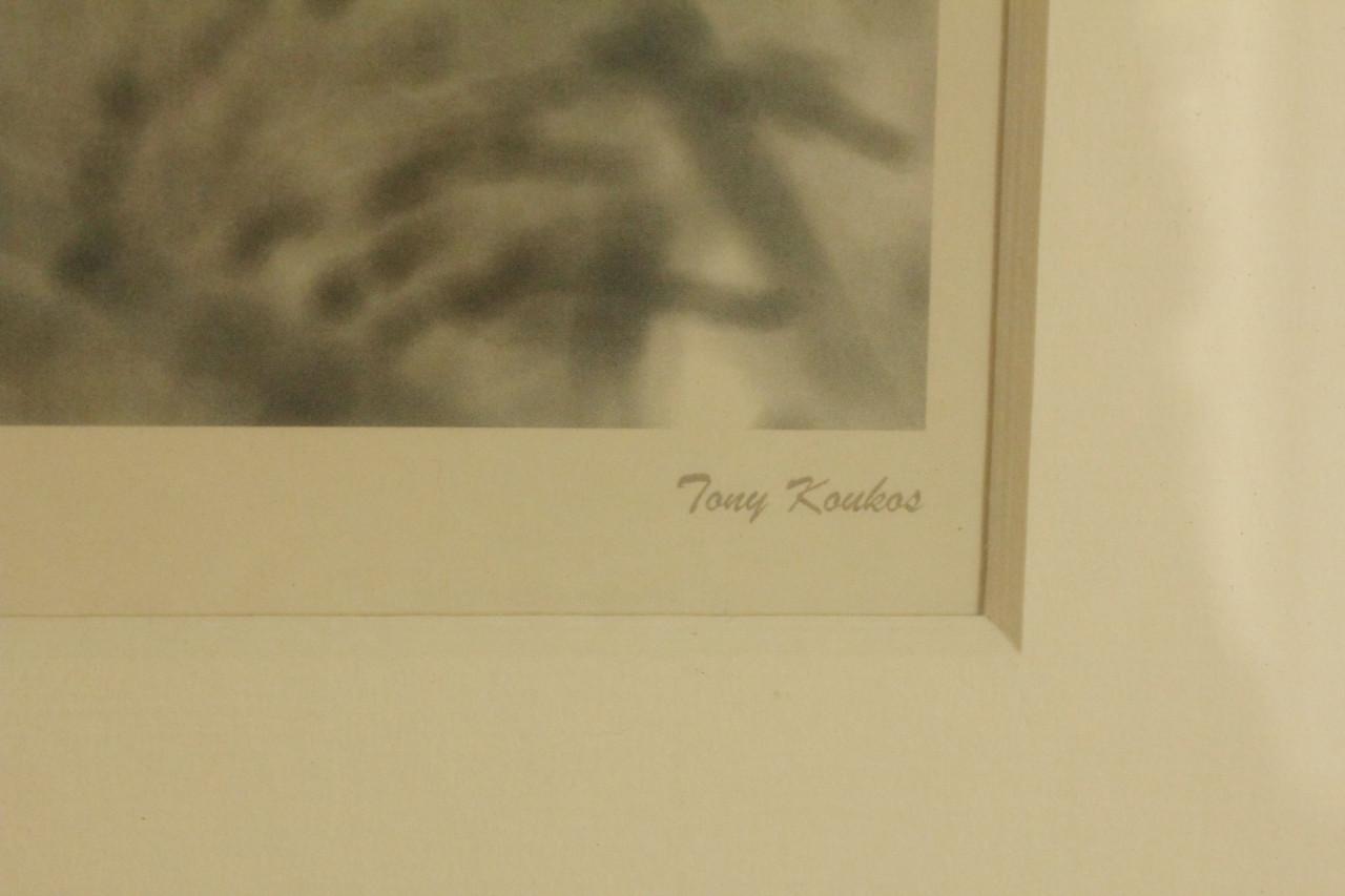 Houten lijst met prent..Adam Brock of Tony Koukos