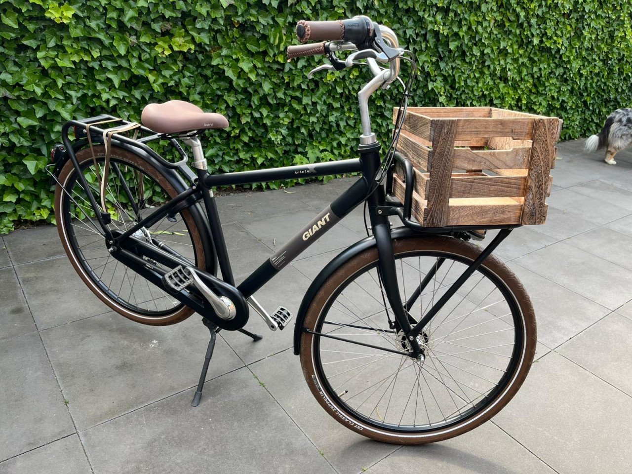 Giant Triple X CS 1 LDS (Zwart) - frame maat M - 7 versnellingen