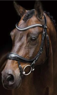 Schockemohle Equitus Beta hoofdstel