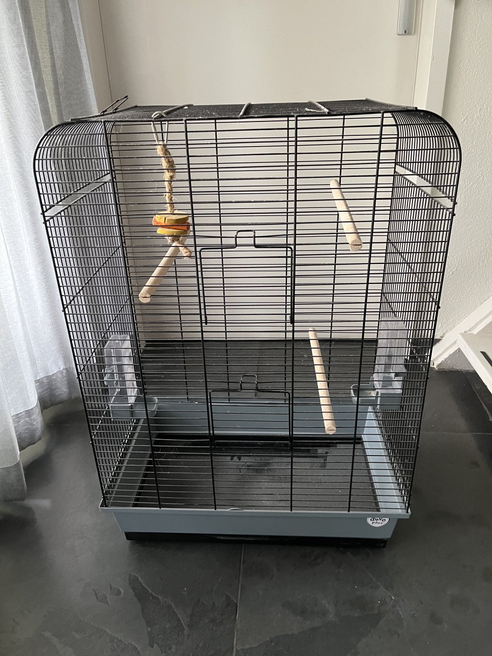 Vogelkooi