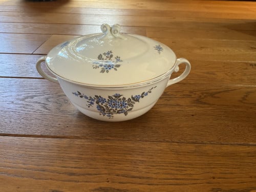 Servies van P.Regout & Co
